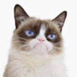 Meet your Posher, Caitlin